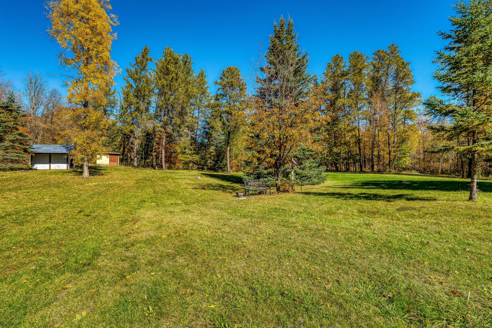 Back yard