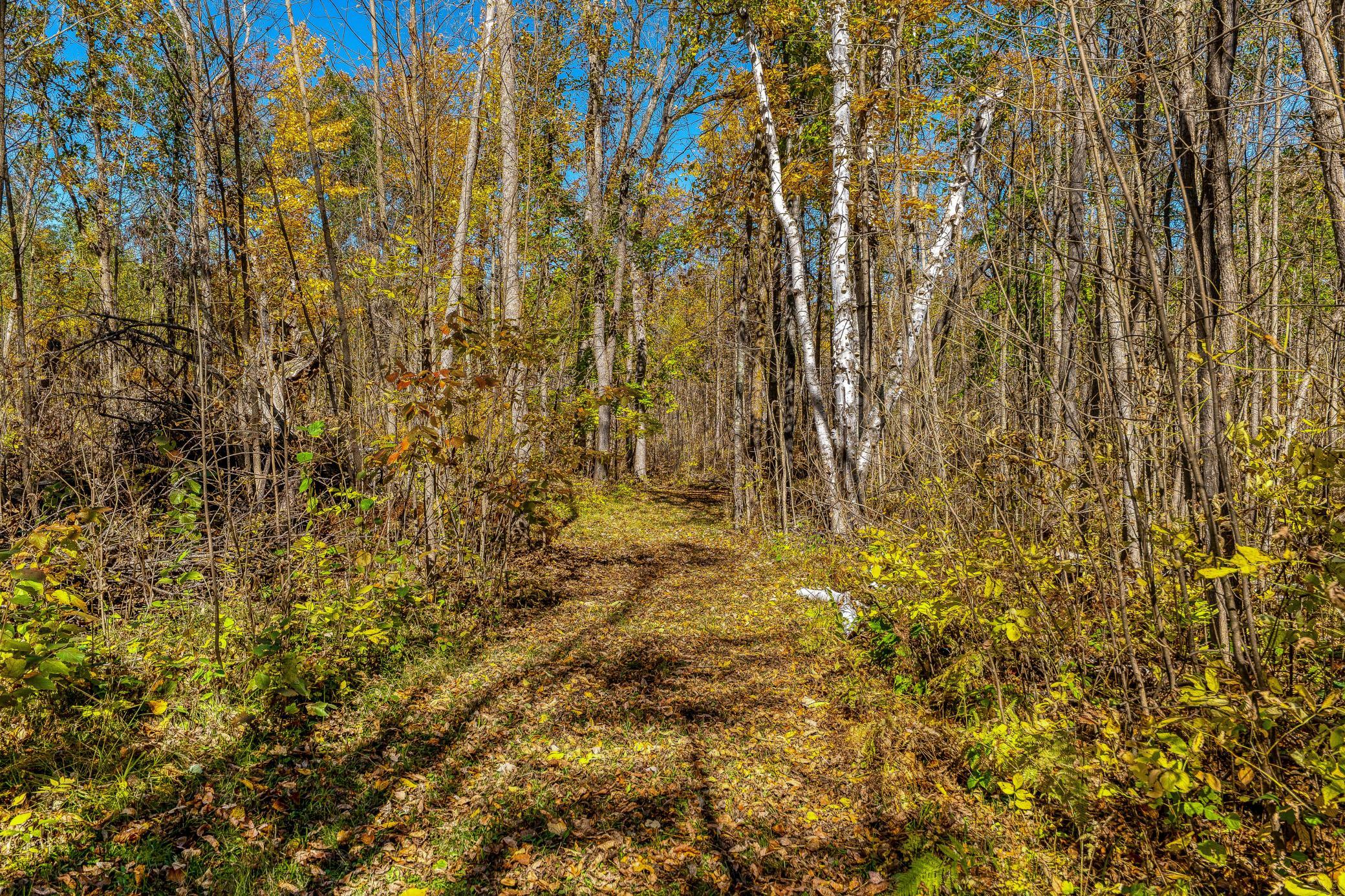More trails!