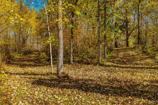 9330 Country Club Road NE, Bemidji, MN 56601