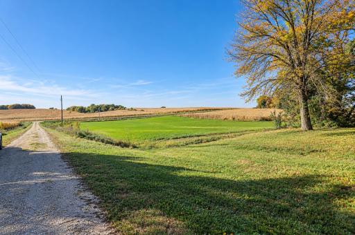 10097 72nd Avenue SW, Ellendale, MN 56026