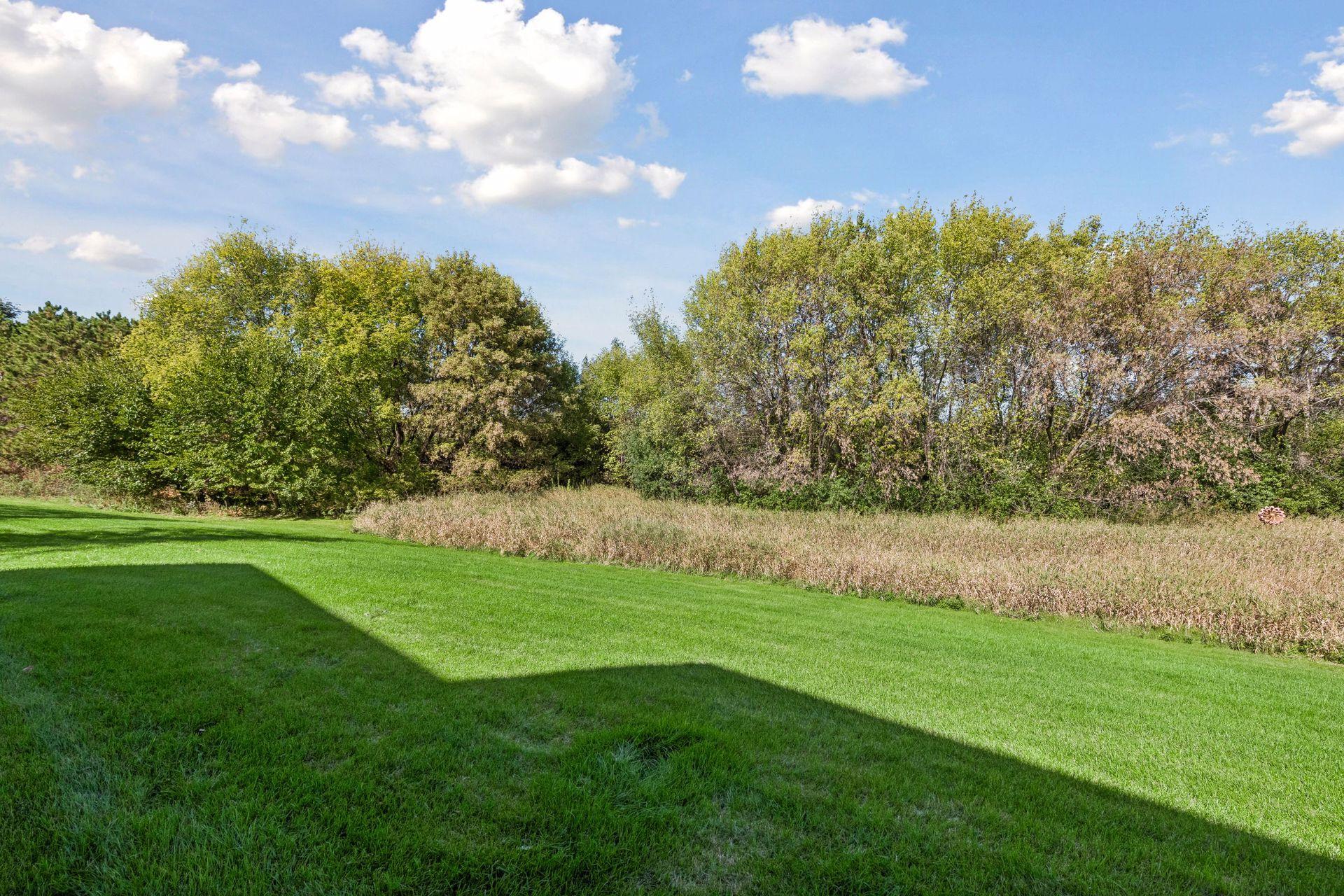 View of Backyard