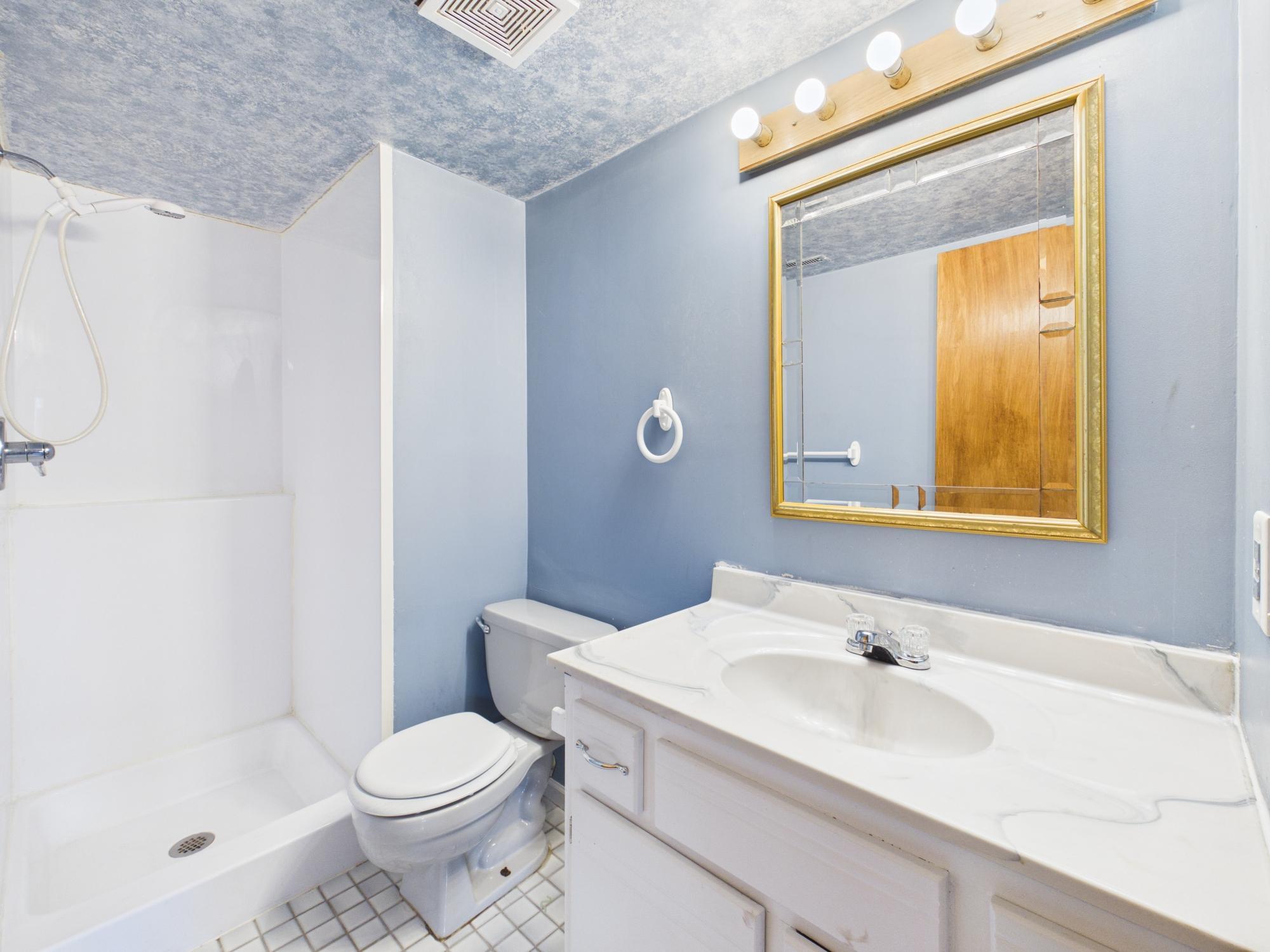 Lower level 3/4 bath