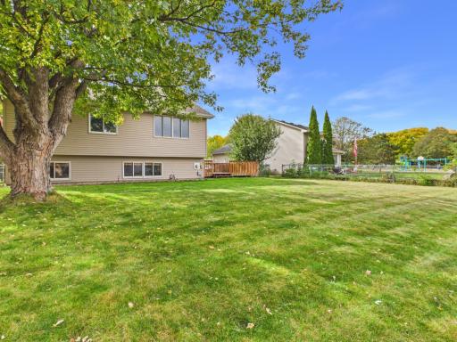 Nice size fenced in yard, you can see the park!