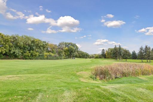 8960 Deer Run Court, Victoria, MN 55386