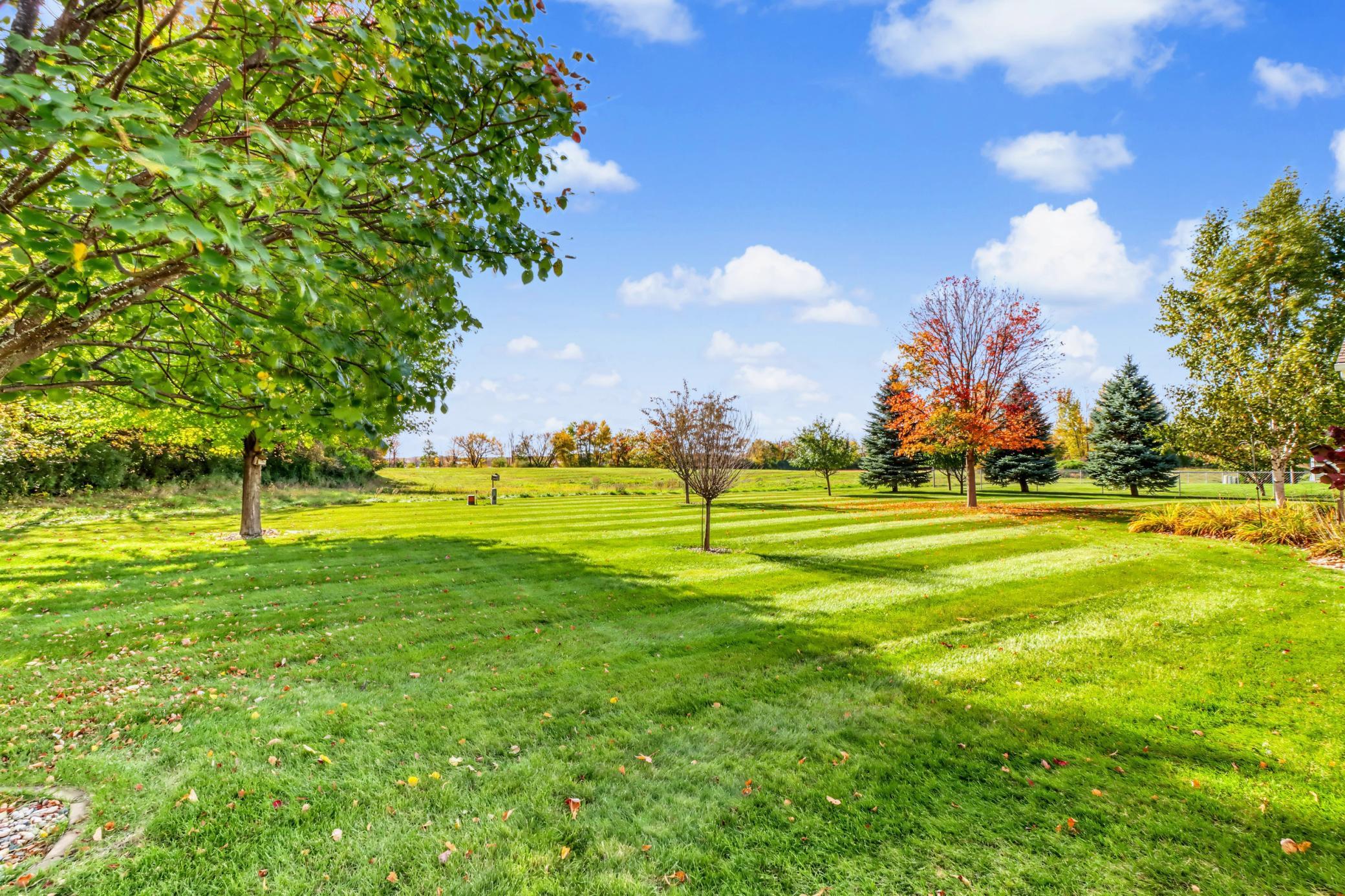 Backyard1_1 (5).jpg