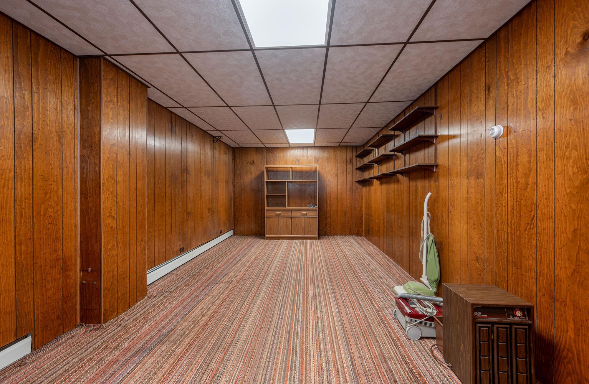 Basement Family Room