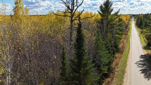 TBD 28.9 Rangeline Road, Orr, MN 55771