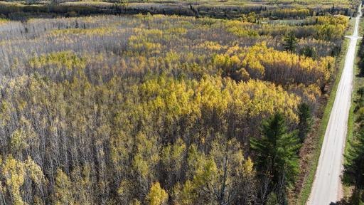 TBD 28.9 Rangeline Road, Orr, MN 55771