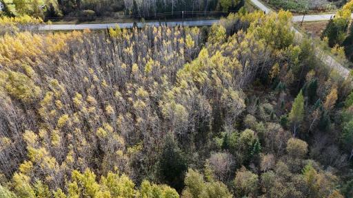 TBD 28.9 Rangeline Road, Orr, MN 55771