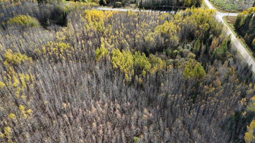 TBD 28.9 Rangeline Road, Orr, MN 55771
