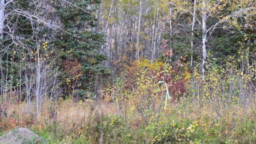 TBD 28.9 Rangeline Road, Orr, MN 55771