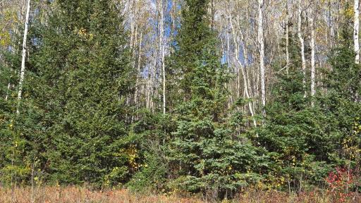 TBD 28.9 Rangeline Road, Orr, MN 55771