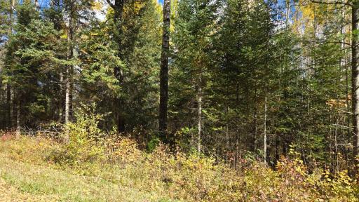 TBD 28.9 Rangeline Road, Orr, MN 55771
