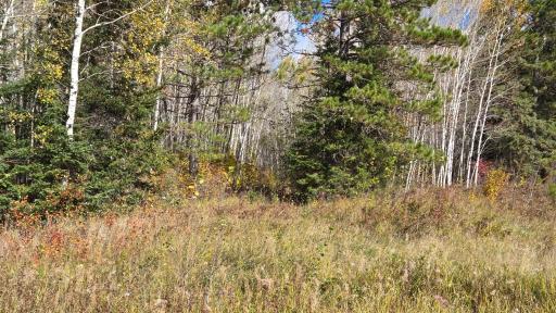 TBD 28.9 Rangeline Road, Orr, MN 55771