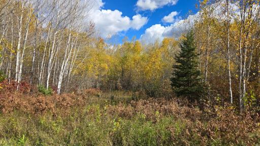 TBD 28.9 Rangeline Road, Orr, MN 55771