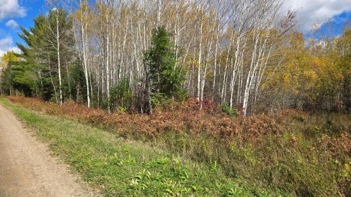 TBD 28.9 Rangeline Road, Orr, MN 55771
