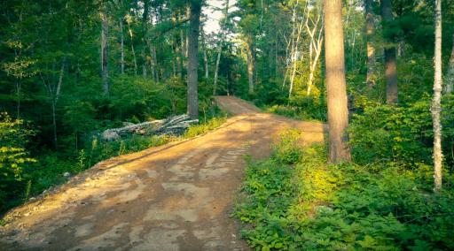 7721 Yahoo Point Road, Orr, MN 55771