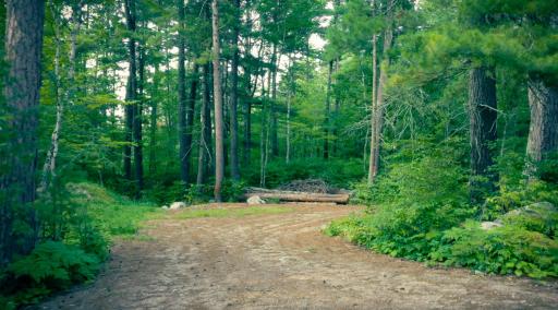 7721 Yahoo Point Road, Orr, MN 55771