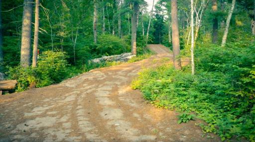 7721 Yahoo Point Road, Orr, MN 55771