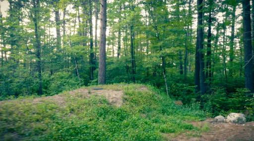 7721 Yahoo Point Road, Orr, MN 55771