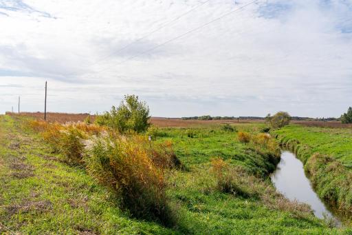 XXX 180th Street, New Richland, MN 56072