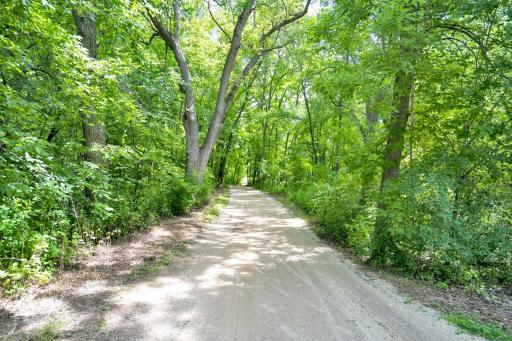 Just one example of the many secluded trails in Lake Rebecca Park Reserve