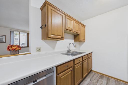 Kitchen â Additional View: Another view of the kitchen highlighting abundant oak cabinetry, expansive countertops, double-basin sink, and stainless steel dishwasher.
