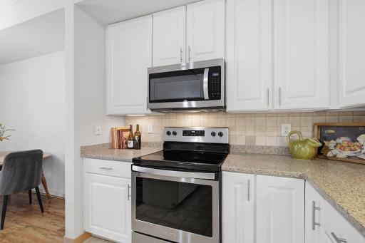 19-web-or-mls-2201_Village_Ln_Bloomingtron_MN_019.jpg