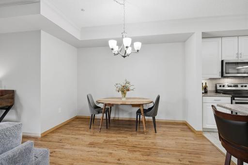 23-web-or-mls-2201_Village_Ln_Bloomingtron_MN_023.jpg