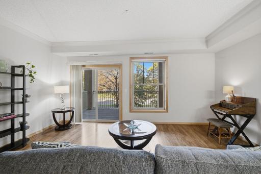 26-web-or-mls-2201_Village_Ln_Bloomingtron_MN_026.jpg