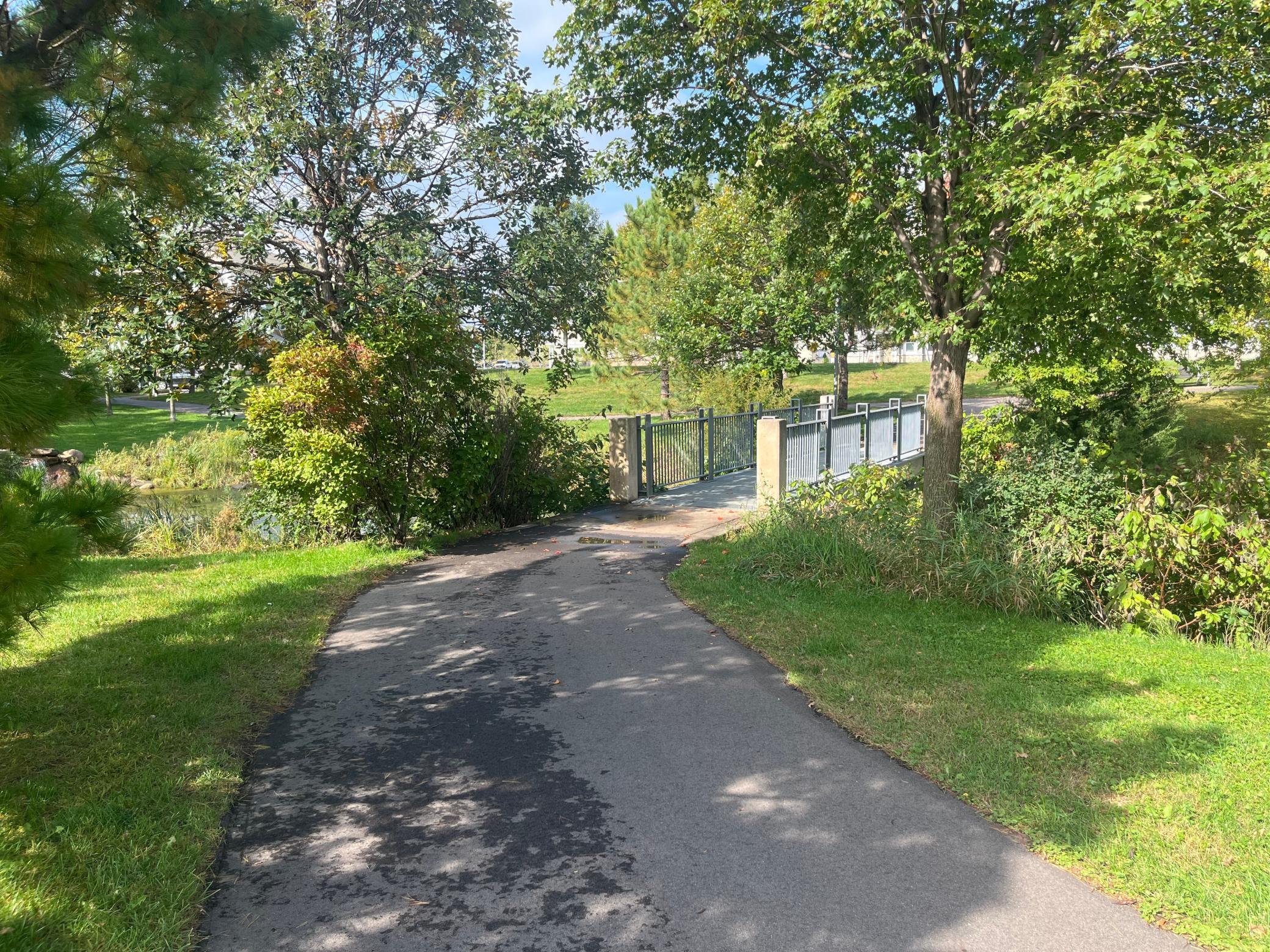 The Draw Park waking path has several places to stop and enjoy nature including this bridge that connects the mile long series of walking paths.