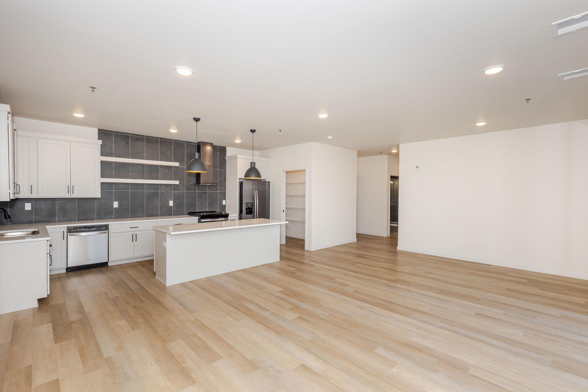 Kitchen / Living / Dining