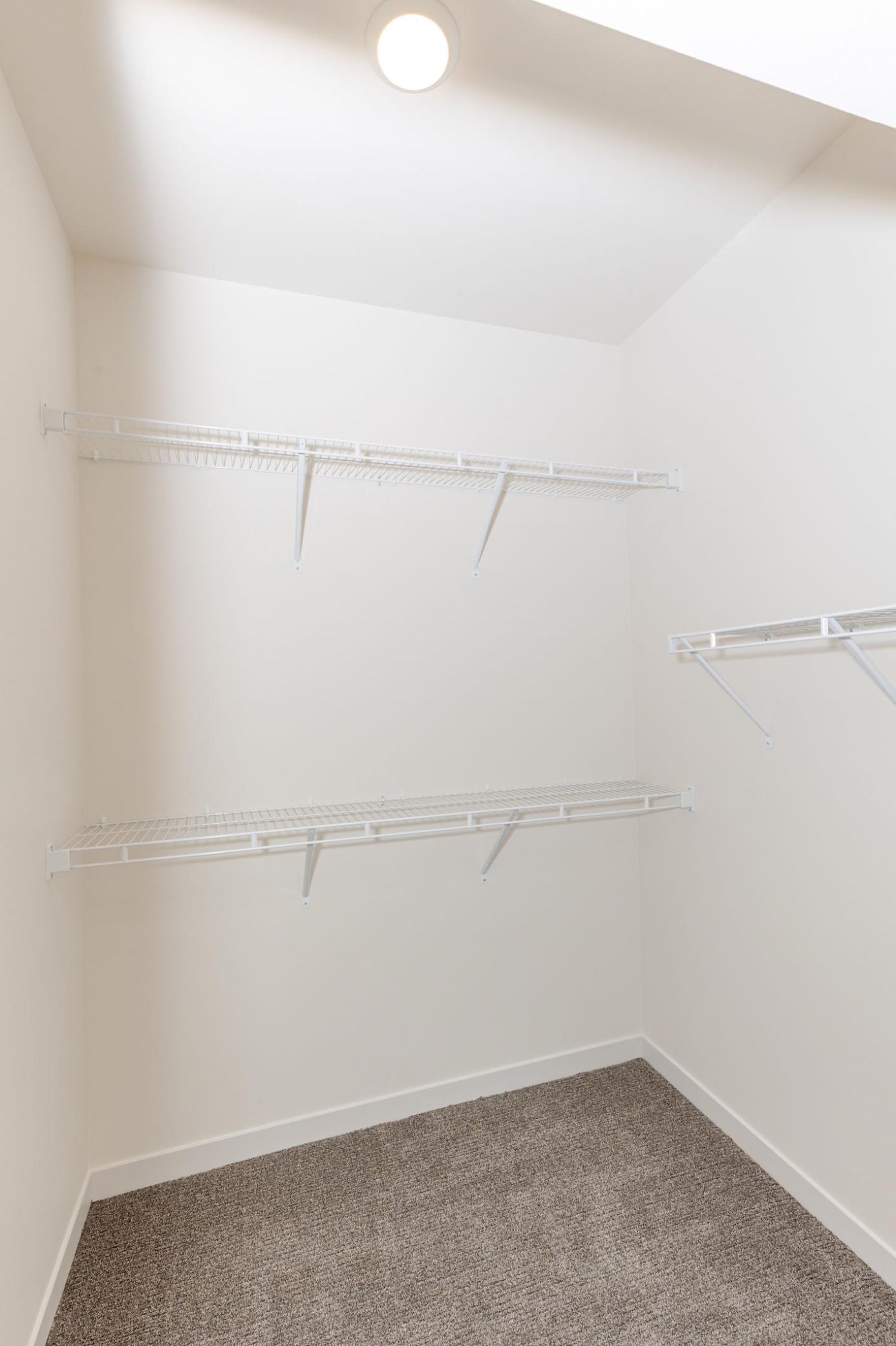 Primary Walk-in Closet