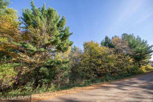 tbd Cambridge Drive, Stanchfield, MN 55080