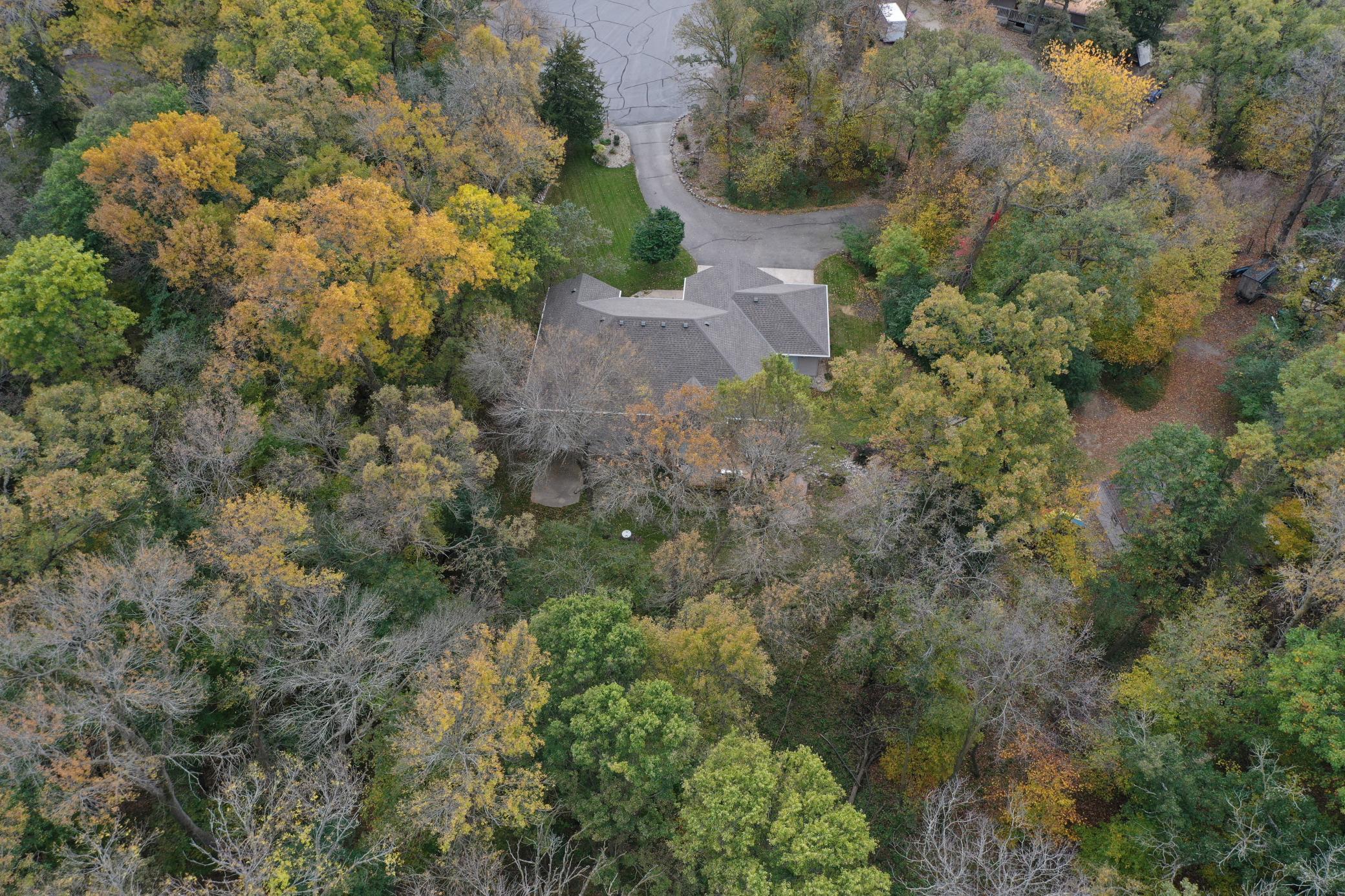 Photo 42