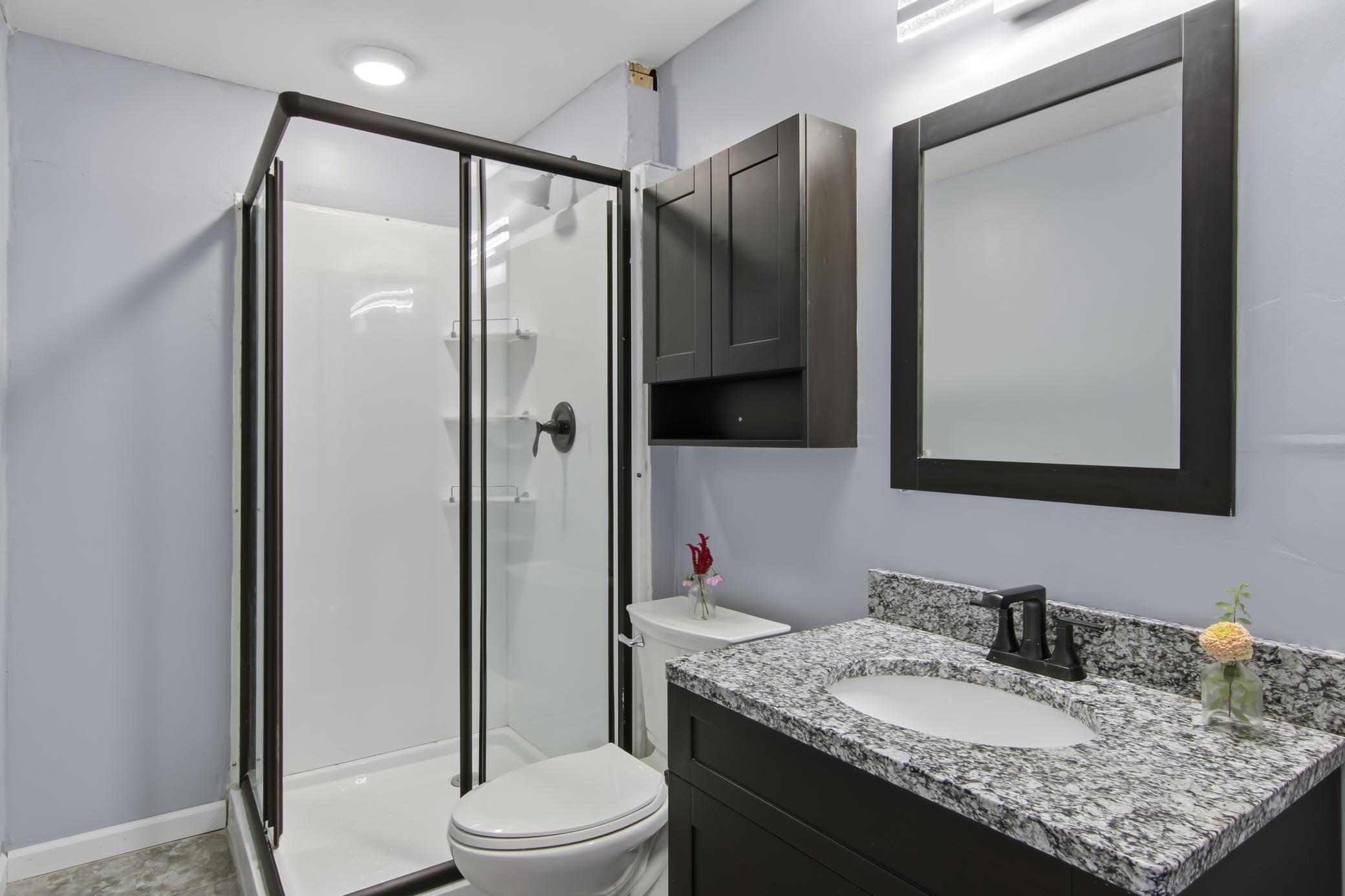 Lower Level Bath with Corner Shower