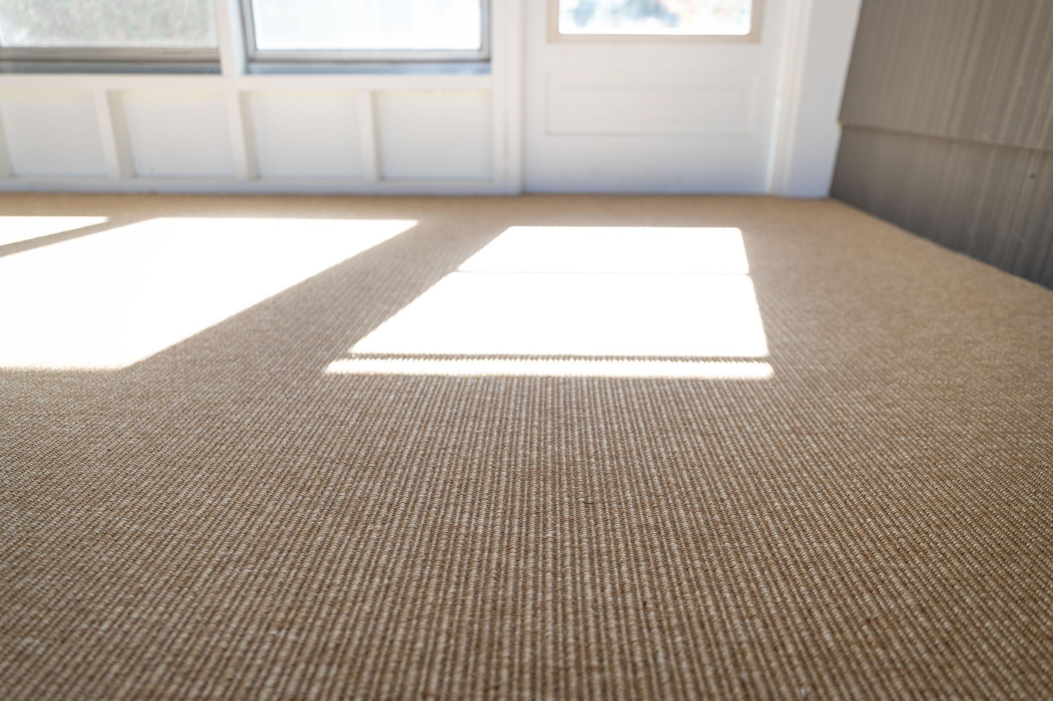 Sunroom/Breezeway carpet