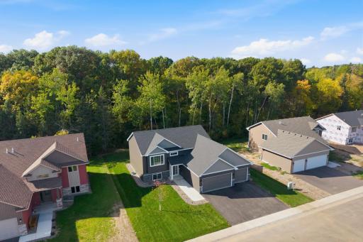24154 Polk Street NE, East Bethel, MN 55005