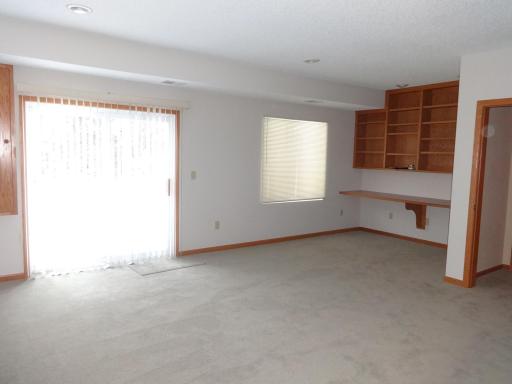 12 - Finished lower level with walkout door to lower level patio.JPG