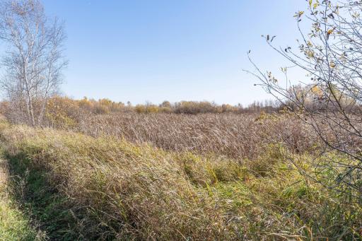 13604 625th Avenue, Eagle Bend, MN 56446
