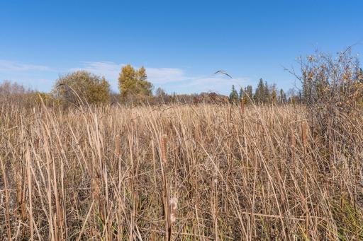 13604 625th Avenue, Eagle Bend, MN 56446