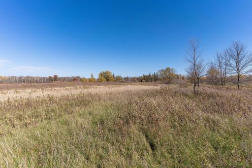13604 625th Avenue, Eagle Bend, MN 56446