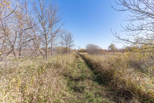 13604 625th Avenue, Eagle Bend, MN 56446