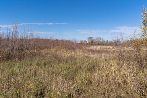 13604 625th Avenue, Eagle Bend, MN 56446