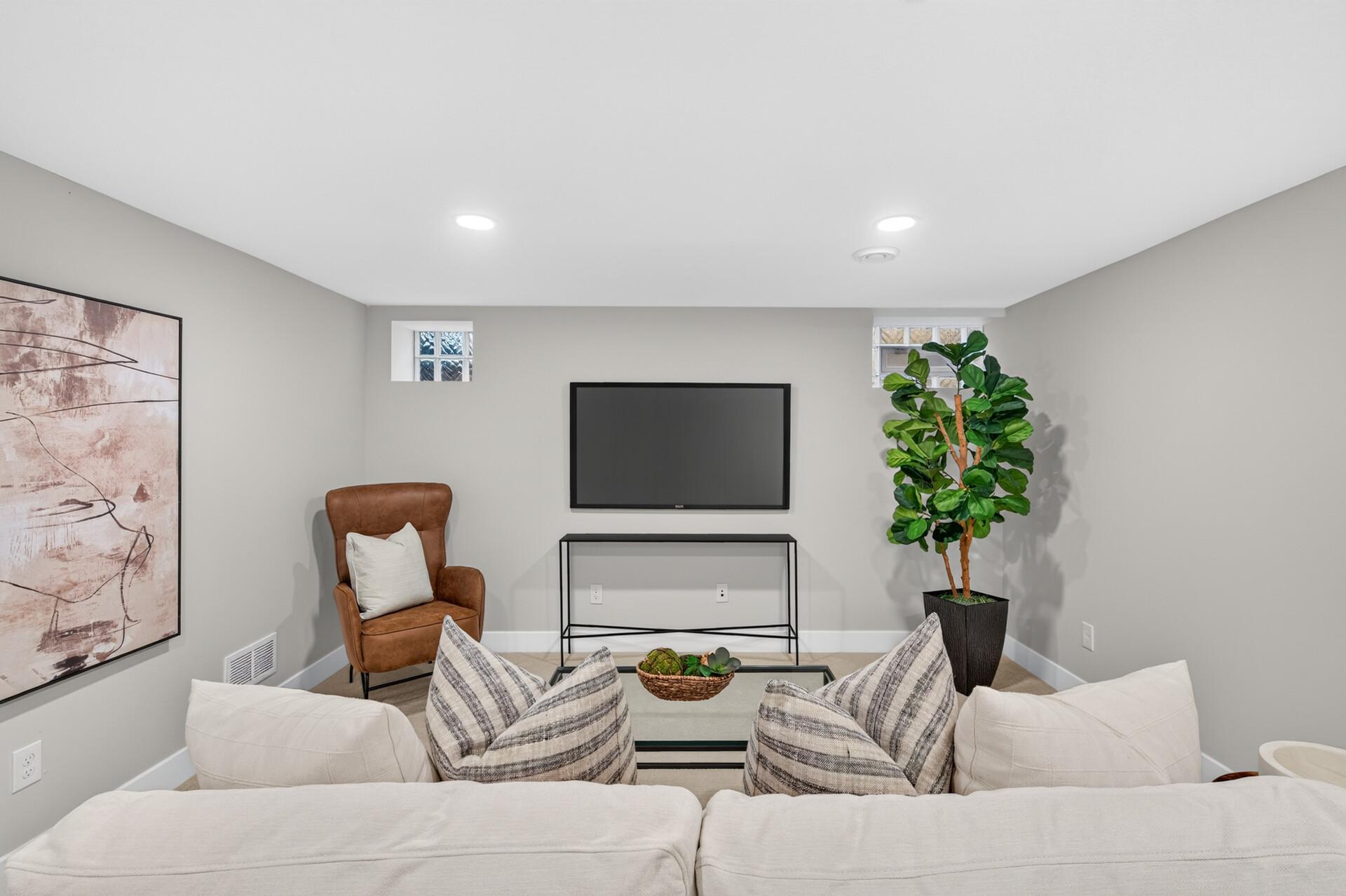 Lower Level Family Room