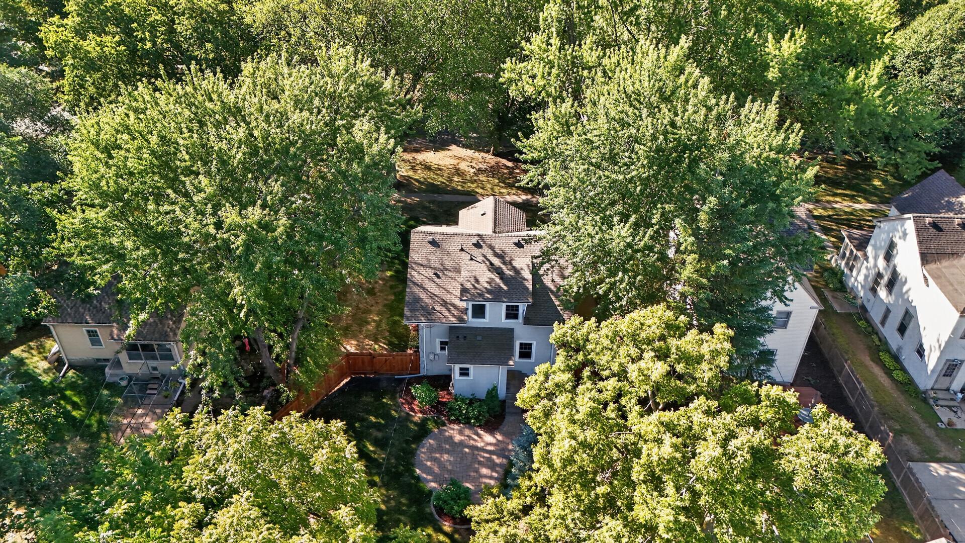 Mature Trees