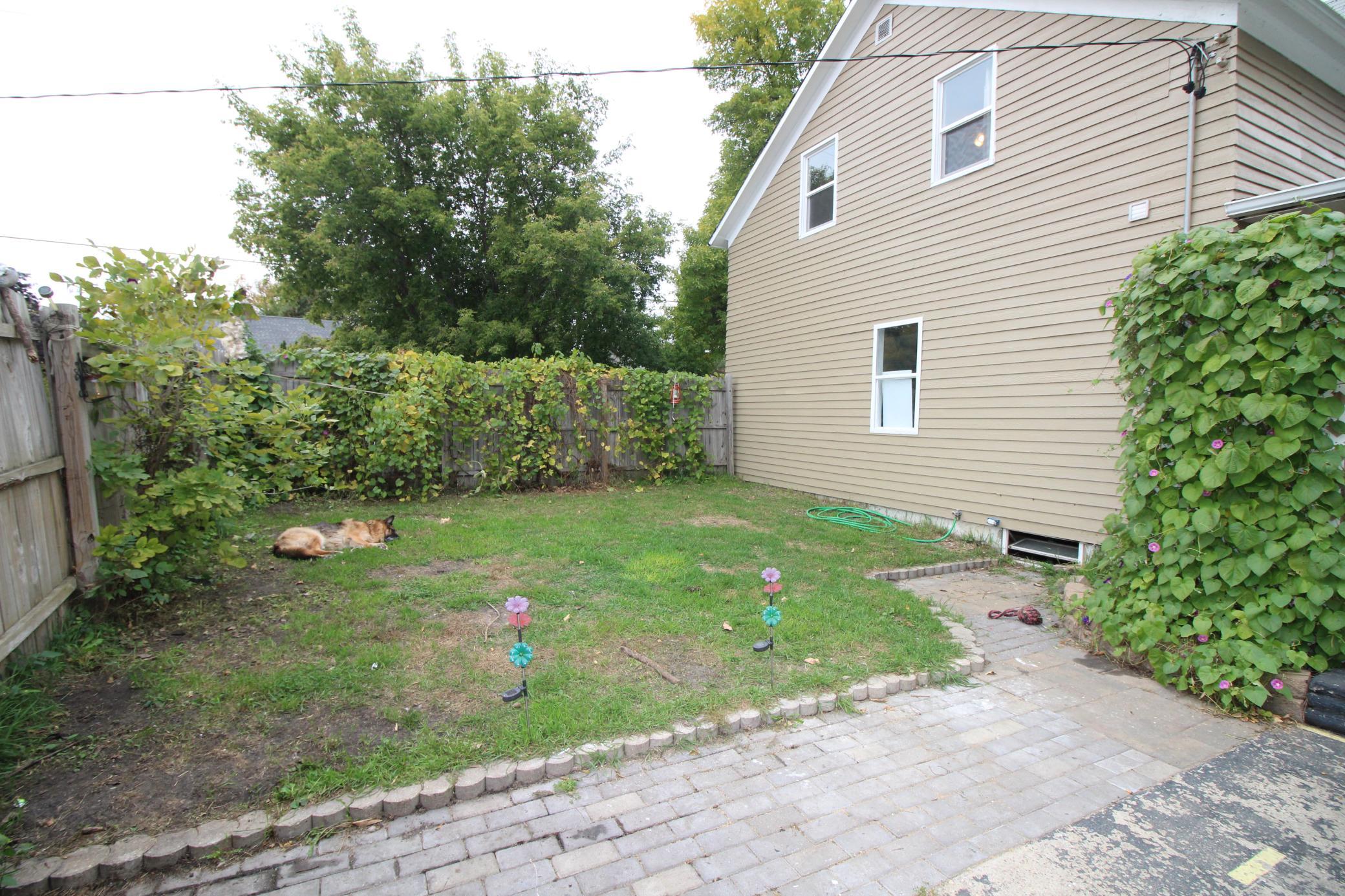 Fenced Yard.JPG