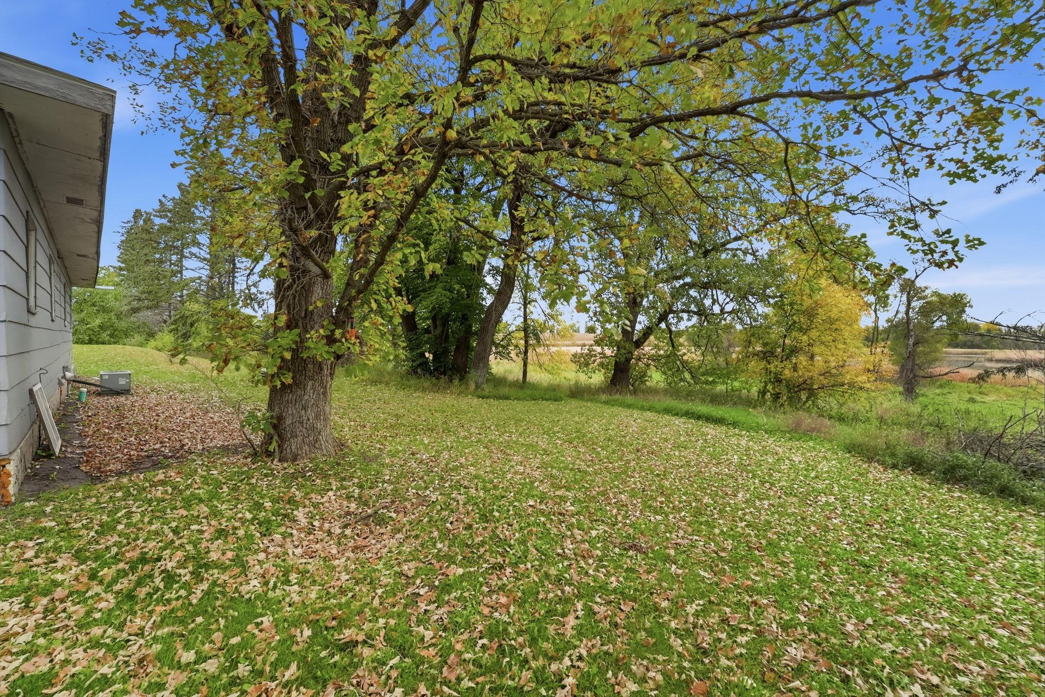 44-web-or-mls-DSC01708.jpg