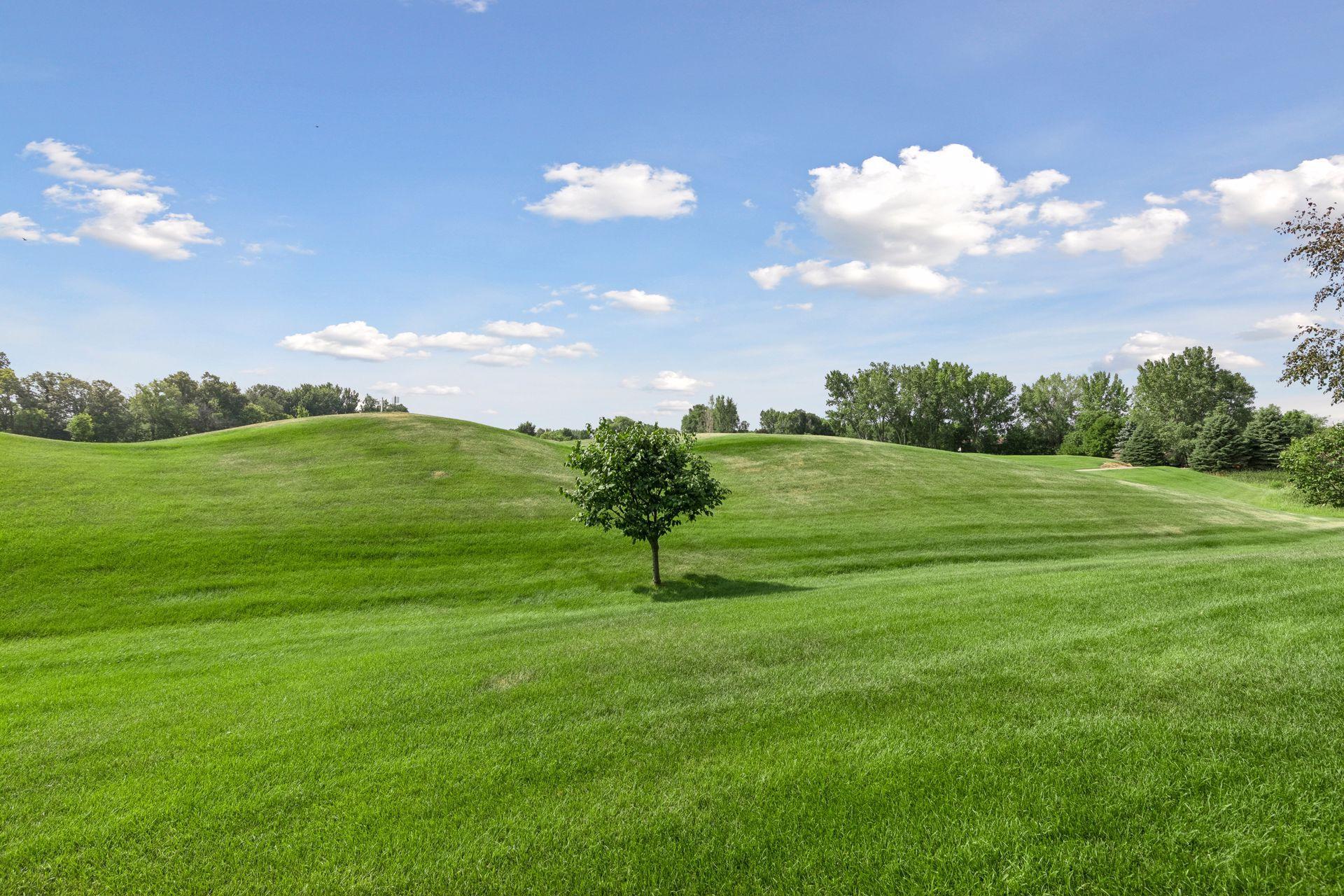 beautiful golf course views from all the back side windows