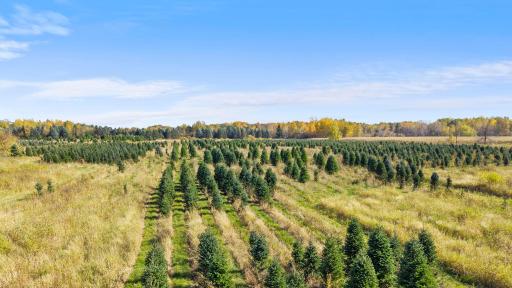 TBD 377th Avenue NW, Dalbo, MN 55017